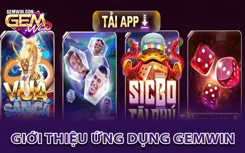 Giới thiệu ứng dụng Gemwin